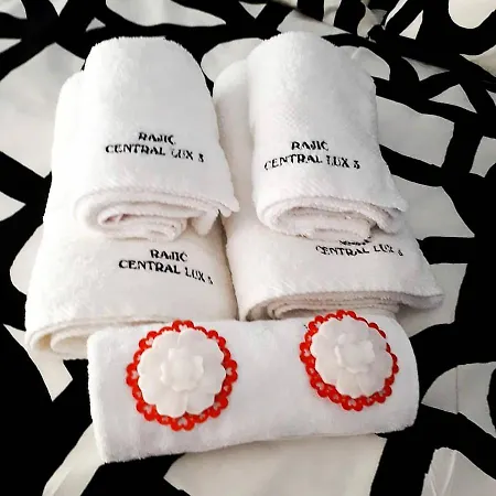 Rajic Lux 아파트 즐라티보